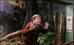 En quelle anne se fait-il attaquer par une crature magique ?