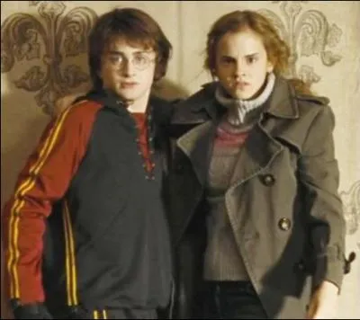 Hermione a souvent manifesté beaucoup d'affection pour Harry, notamment ici, avant la première tâche. Que pense Harry de leur relation ?