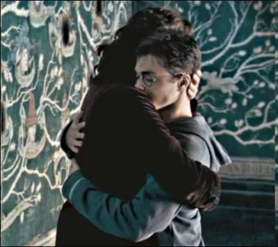 Inconsciemment ou non, Harry a toujours considéré Sirius à la fois comme :