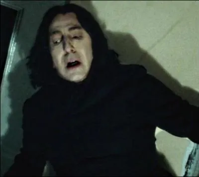 "L'instant d'après, Rogue était à genoux dans l'ancienne chambre de Sirius. Des larmes coulaient au bout de son nez crochu tandis qu'il lisait la vieille lettre de Lily. La deuxième page ne comportait que quelques mots :