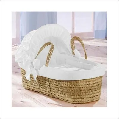 N'est pas nounou qui veut, mais on peut apprendre !