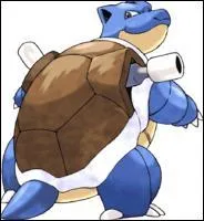 Quel est ce Pokmon ?