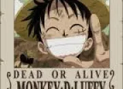 Quiz One Piece