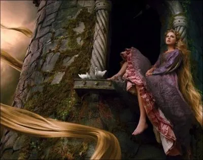 Et pour terminer, il ne vous reste plus qu' trouver la bonne  Raiponce  !