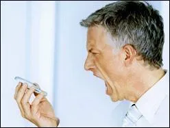 Quelle est la traduction anglaise de ces verbes :  beugler ,  meugler ,  barrir ,  brailler  ?