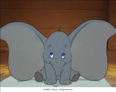 Comment s'appelle ce tout mignon lphant ?