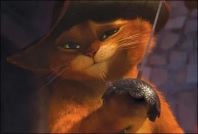 Qui est ce chat roux ?