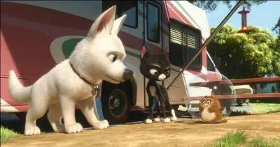 Quel est le nom de ce film ?