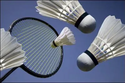 Les plumes des volants viennent :