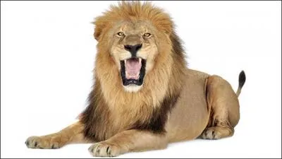 Quelle est la traduction anglaise de ce terme :  d'une voix rauque  ?