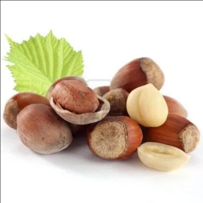 Quelle est la traduction anglaise de ce nom commun :  noisette  ?