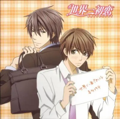 Dans  Sekaii-chi Hatsukoi , quel nom Ritsu avait-il utilis� pour ne pas �tre reconnu par Takano, lorsqu'il empruntait les m�mes livres que lui � la biblioth�que du lyc�e ?