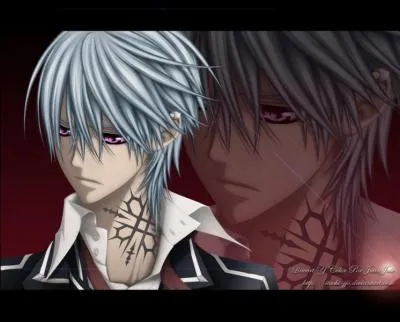 Ichiru, le fr�re jumeau de Kiryu Zero dans  Vampire Knight  avait un complexe d'inf�riorit� car :