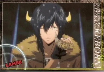 Lambo, du manga  Katekyo Hitman Reborn !   poss�de un objet qui lui permet d'avancer dans le temps. Il s'agit :