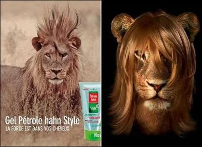 A Paris, un salon de coiffure pour lions vient d'ouvrir ses portes !