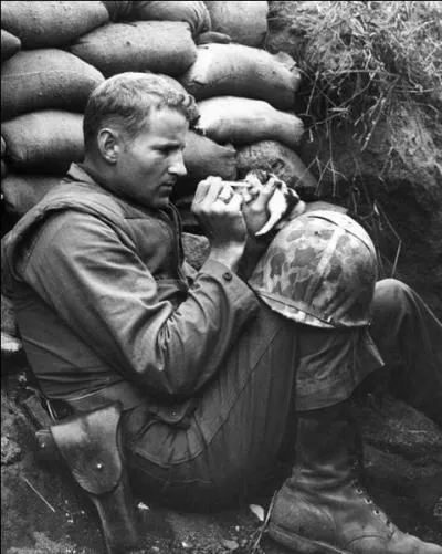 Mme dans les batailles, l'animal reste un compagnon de l'tre humain, sur cette photo, on voit un chaton !