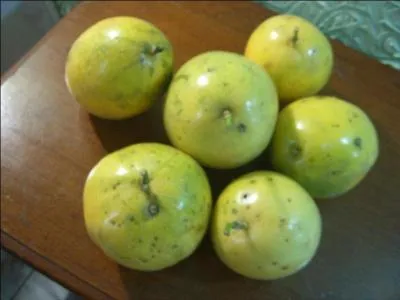 Vas-y Francky c'est bon, vas-y Francky, c'est bon, bon, bon !