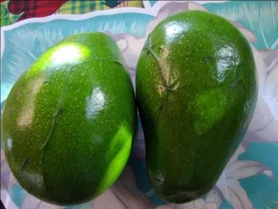 Messieurs les jurs, mon client n'est pas coupable,  l'heure du crime, il tait sur Quiz.biz !