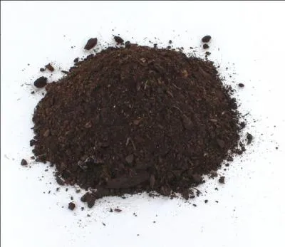 Quelle est la traduction anglaise de ces noms communs :  terreau ,  pis  ?