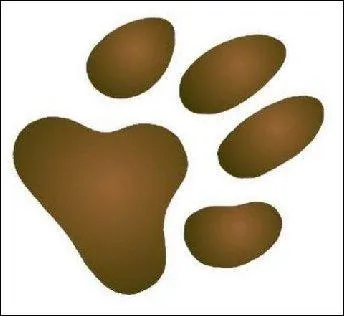 Combien y a-t-il de chiens  ce jour le : 12 fvrier 2014 ?