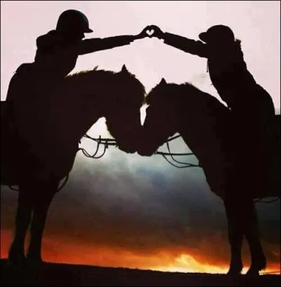 Dans quelle famille se trouvent les chevaux ?