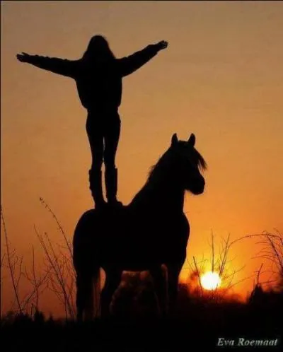 Combien de galops existe-t-il ?