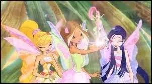 Quelle est cette transformation ?