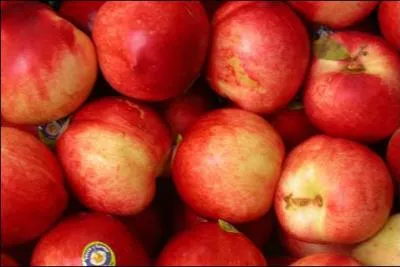 La dernire question ! Qu'est-ce que ces fruits ?