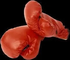 Quel sport vous inspirent ces gants ?