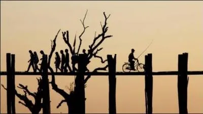  El salmn es un pescado que nada contra la corriente  (le saumon est un poisson qui nage  contre-courant). Cette phrase affirmative est-elle correcte ?