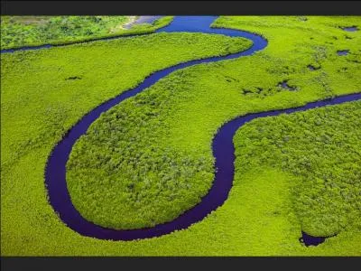 Les articles dfinis en espagnol sont  el  (le),  la  (la),  los  (les) et  las  (les). La phrase  la agua de los ros es dulce  (l'eau du fleuve est douce) est-elle correcte ?