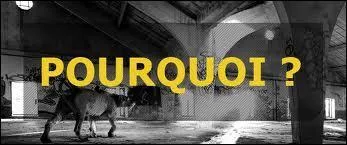 Pourquoi sont-ils appels ainsi ?