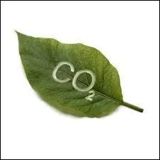 Pour 100 L d'air inspir, combien de L de dioxyde de carbone (C02) sont prsents ?