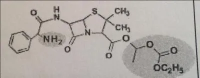 Quelles sont les propositions exactes concernant cette molcule ?
