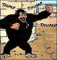 Dans quelle rgion d'Europe se trouve l'le Noire ?