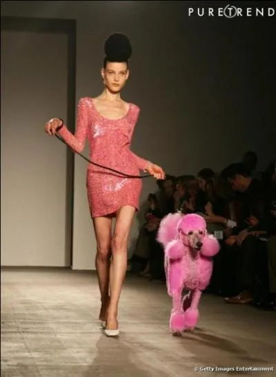 Quelle expression choisirez-vous ?