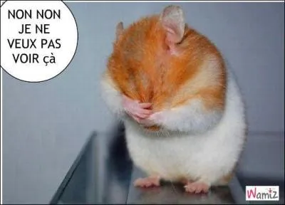 Mais cela ne nous regarde pas !