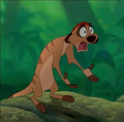Quel animal est Timon ?