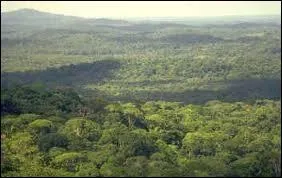 Quel pourcentage de la superficie du territoire brsilien l'Amazonie occupe-t-elle ?