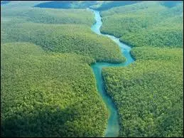 Quel pays n'est pas travers par le fleuve Amazone ?