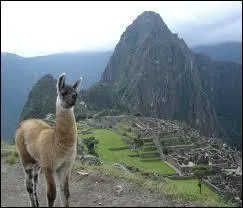 De quelle civilisation provient la cit de Machu Picchu ?