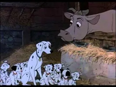 Combien y a-t-il de vaches dans la laiterie ?