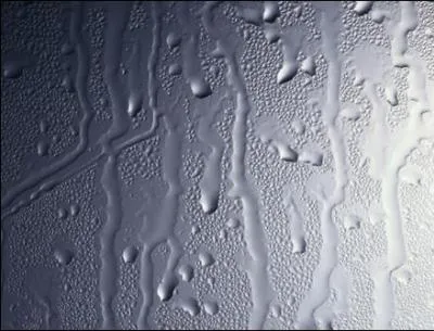 Quelle est la traduction anglaise de cet adjectif :  humide  ?