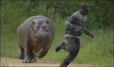 Quelle est la traduction anglaise de ce nom commun :  poursuite  ?