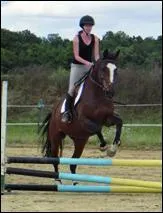 Lequel de ces mots n'est pas une discipline questre ?