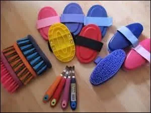 Lequel de ces mots n'est pas une brosse pour panser les chevaux ?