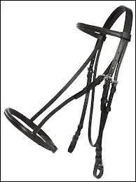 Que reprsente cette photographie ?