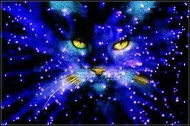 Combien y a-t-il de clans ?