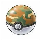 Comment s'appelle Pok Ball ?
