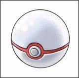 Comment s'appelle Pok Ball ?